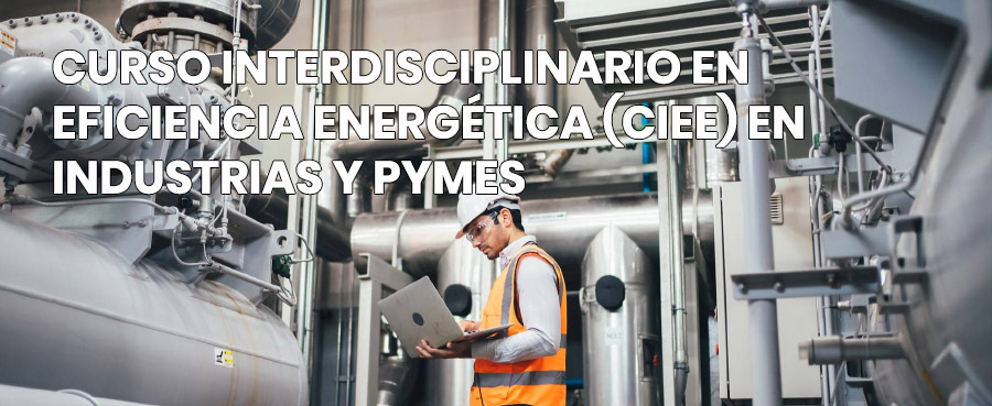 Curso interdisciplinario en eficiencia energtica (CIEE) en industrias y pymes