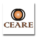 CEARE - Centro de Estudios de la Actividad Regulatoria Energ�tica